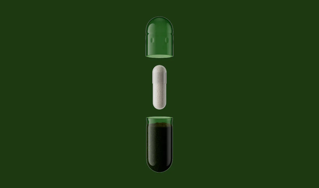 DS-01® Daily Synbiotic